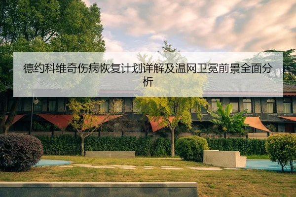 德约科维奇伤病恢复计划详解及温网卫冕前景全面分析 - RAY ESPORTS
